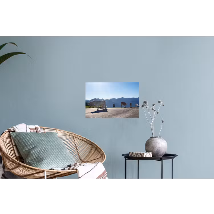 Schotse hooglander - Licht - Berg - Natuur Muursticker klein -plant