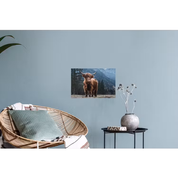 Schotse hooglander - Berg - Landschap - Bomen - Koe - Natuur Muursticker klein -plant