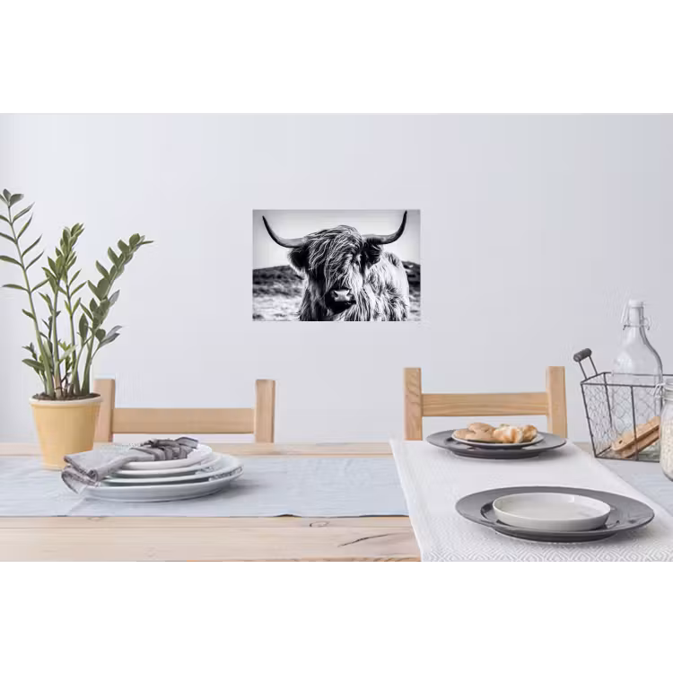 Schotse hooglander - Natuur - Koe - Zwart - Wit Muursticker klein -eettafel
