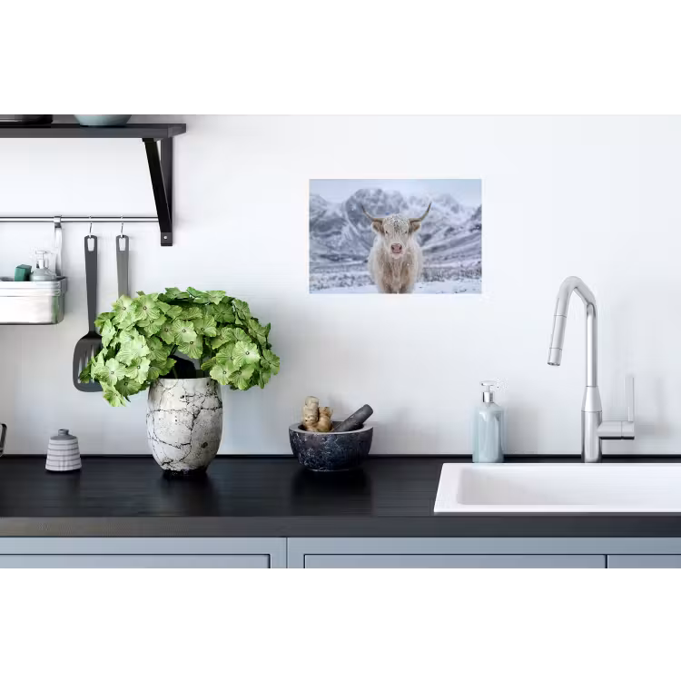 Schotse Hooglander - Sneeuw - Bergen - Winter Muursticker klein -keuken