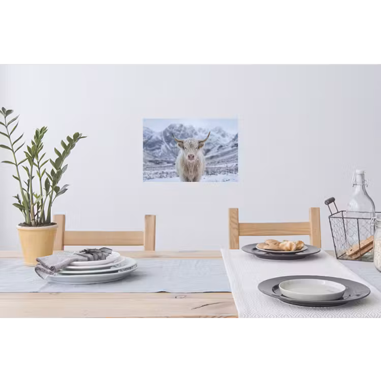 Schotse Hooglander - Sneeuw - Bergen - Winter Muursticker klein -eettafel