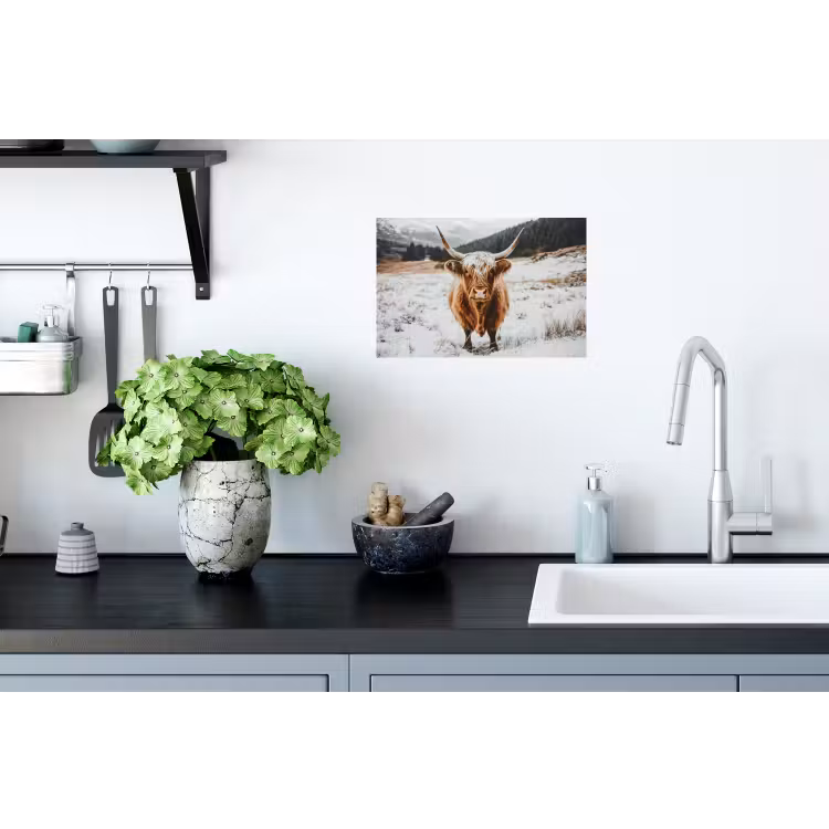 Schotse Hooglander - Sneeuw - Winter - Dieren Muursticker klein -keuken