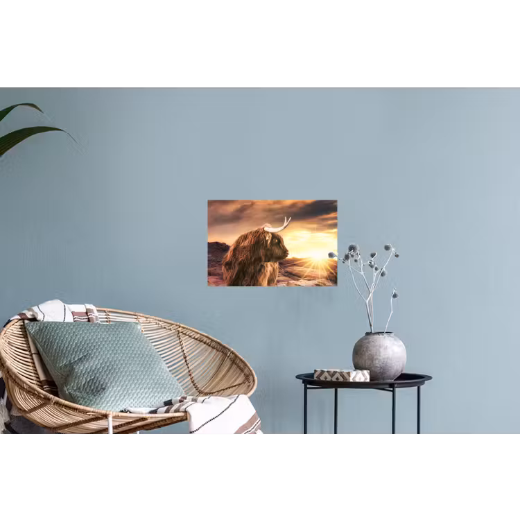 Schotse hooglander - Zon - Horizon - Koe - Dieren Muursticker klein -plant