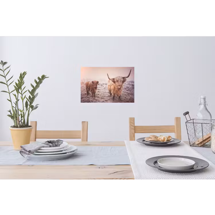 Schotse hooglanders - Licht - Lucht - Natuur Muursticker klein -eettafel