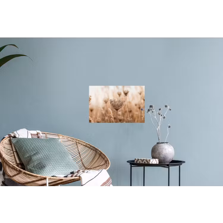 Schermbloem - Droogbloem - Winter - Beige - Minimalistisch Muursticker klein -plant
