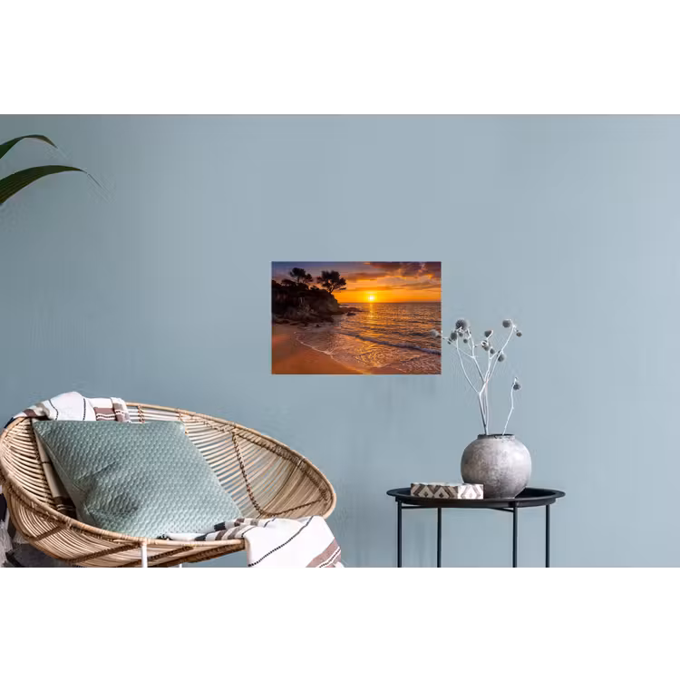 Zee - Kust - Zonsondergang - Natuur - Oranje Muursticker klein -plant