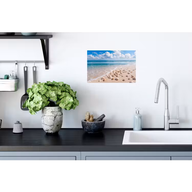 Schelpen - Strand - Natuur - Beige Muursticker klein -keuken