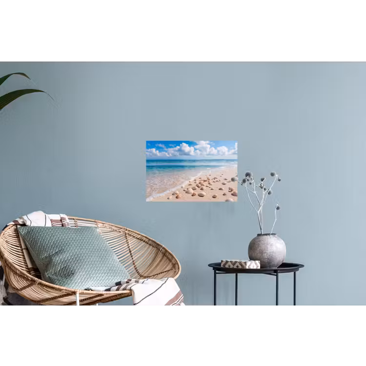 Schelpen - Strand - Natuur - Beige Muursticker klein -plant
