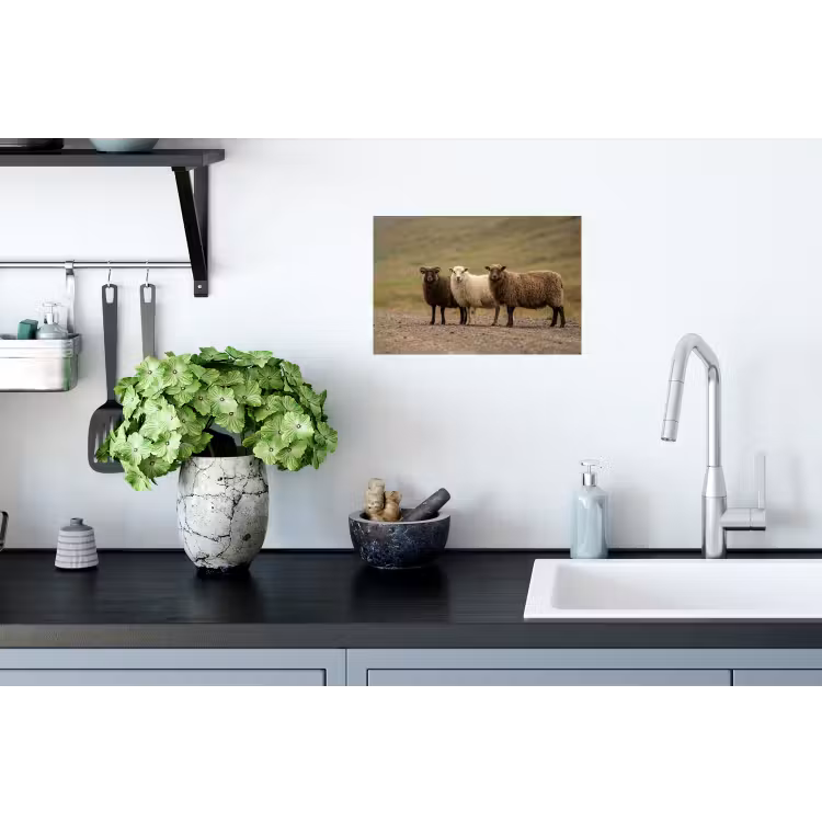 Schapen - Bruin - Wit - Grindpad Muursticker klein -keuken