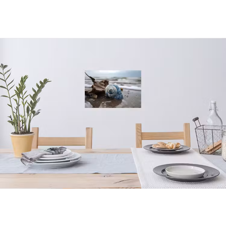 Schelp - Strand - Blauw - Zee Muursticker klein -eettafel