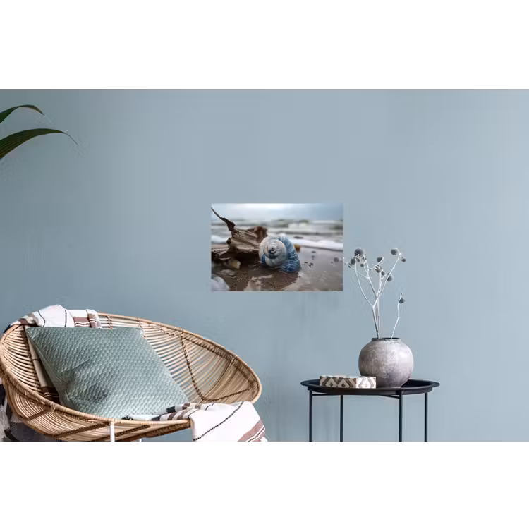 Schelp - Strand - Blauw - Zee Muursticker klein -plant