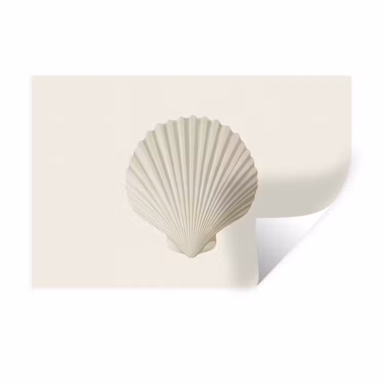 Schelp - Minimalistisch - Wit Muursticker klein -3d