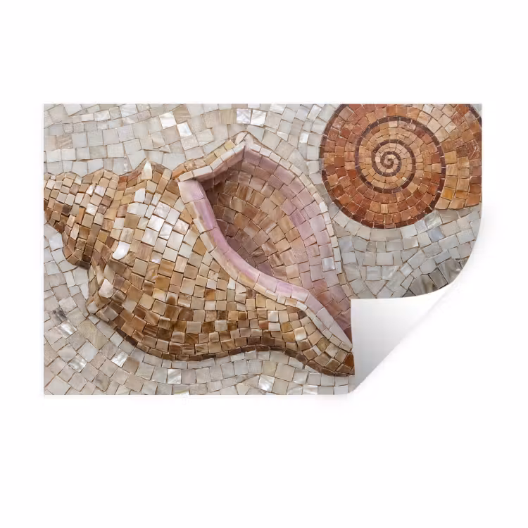 Schelp - Mozaïek - Zee - Beige - Modern Muursticker klein -3d