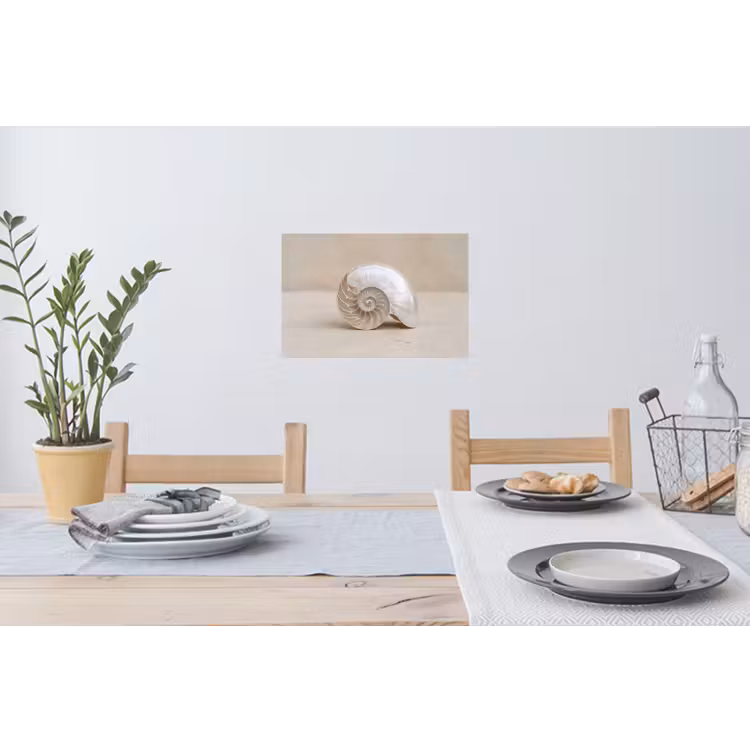 Schelp - Spiraal - Beige Muursticker klein -eettafel