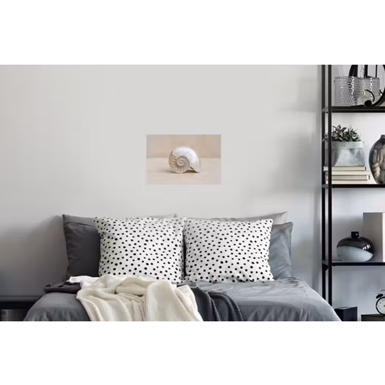 Schelp - Spiraal - Beige Muursticker klein -slaapkamer