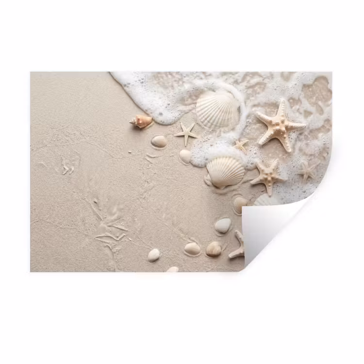 Schelpen - Zeesterren - Strand Muursticker klein -3d