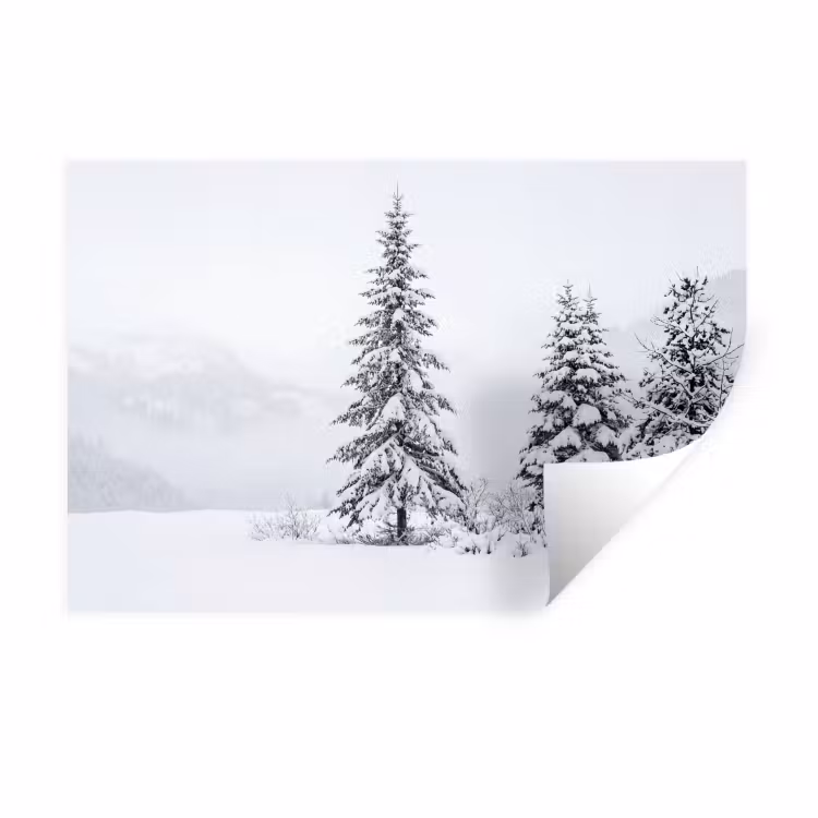 Fijnsparren - Sneeuw - Winter - Landschap - Stilte Muursticker klein -3d