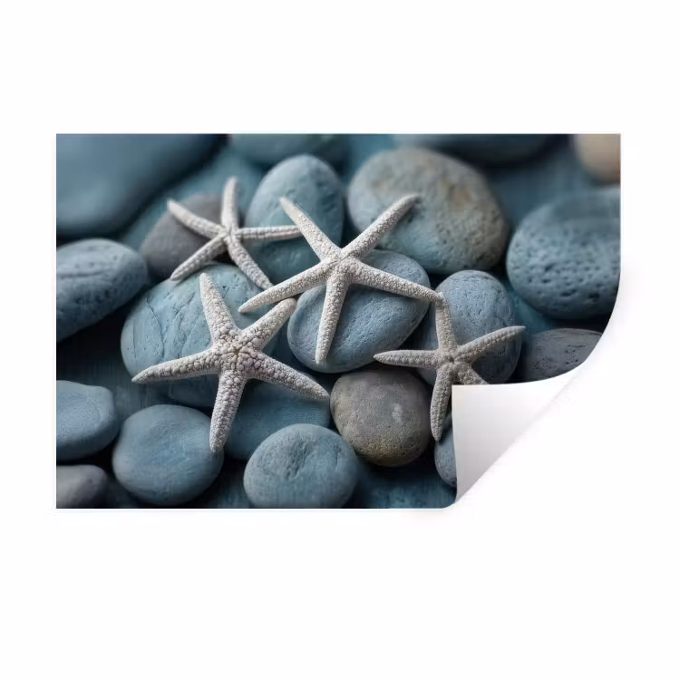 Zeesterren - Stenen - Wit Muursticker klein -3d