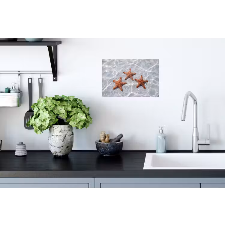 Zeesterren - Water - Helder Muursticker klein -keuken