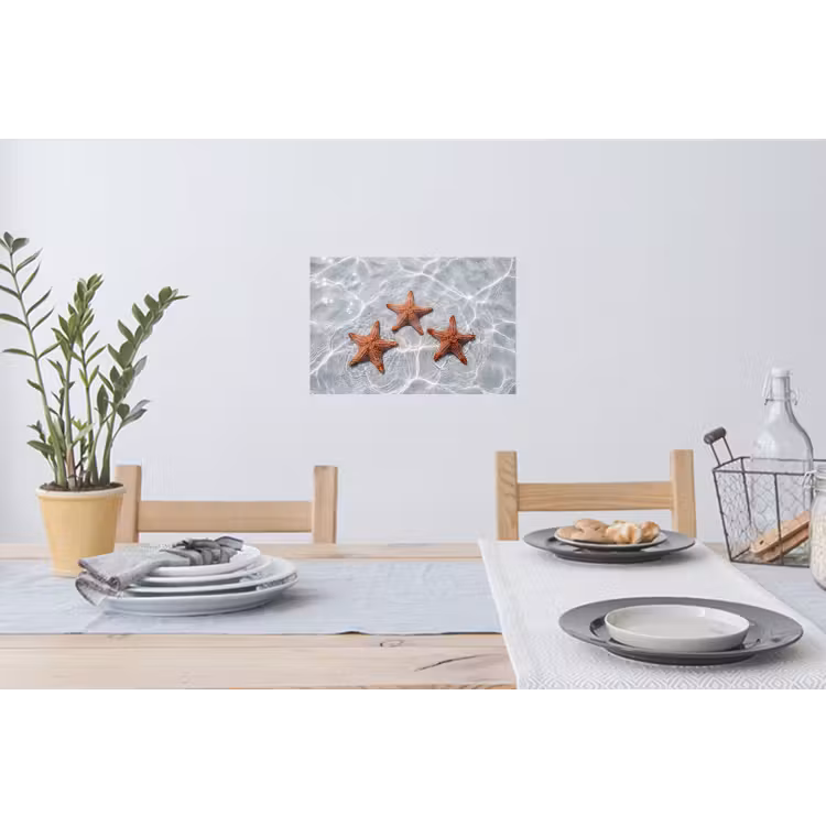 Zeesterren - Water - Helder Muursticker klein -eettafel