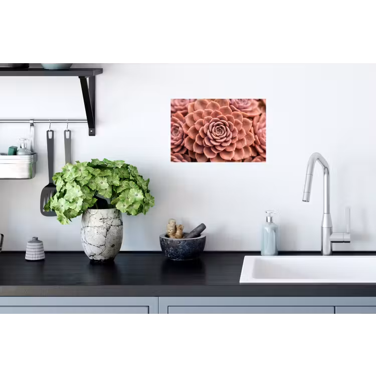 Vetplant - Organisch - Roze Muursticker klein -keuken