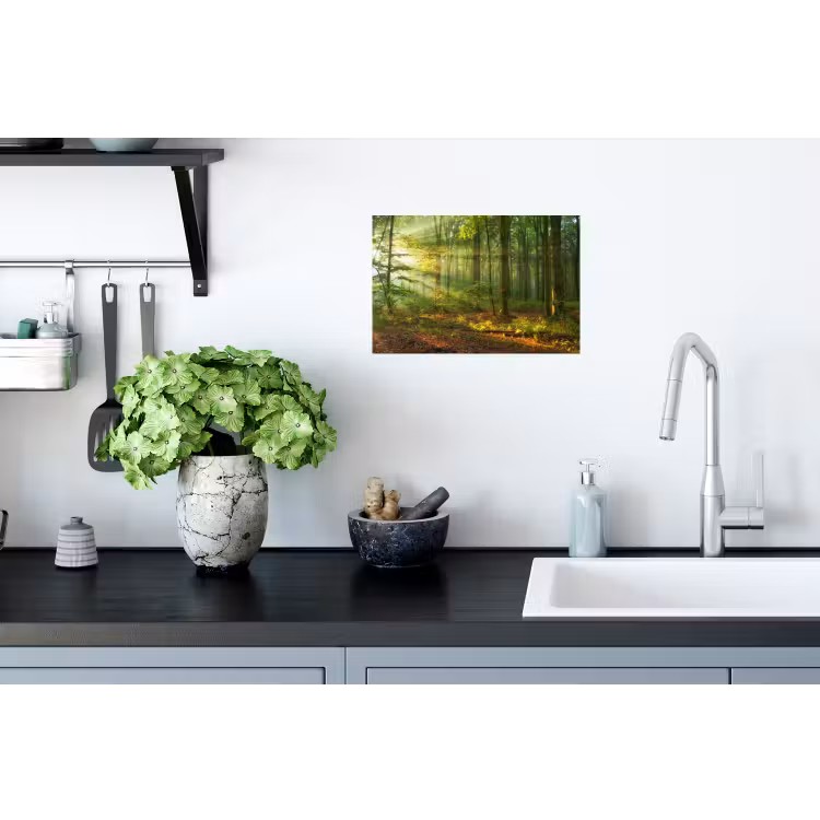Zon - Bos - boom - Natuur - Herfst Muursticker klein -keuken