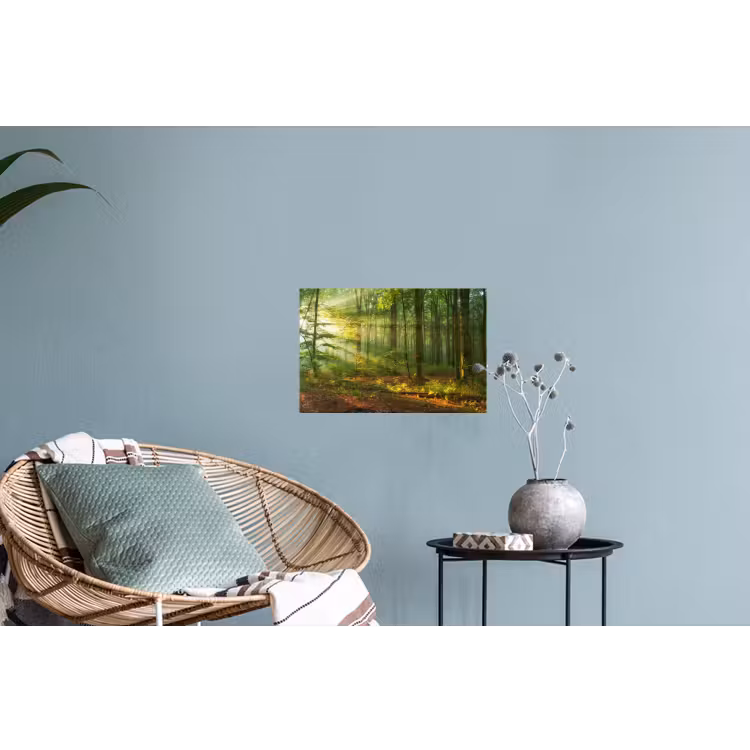 Zon - Bos - boom - Natuur - Herfst Muursticker klein -plant