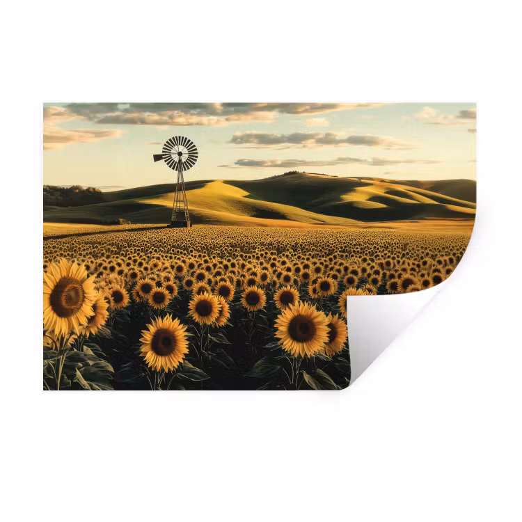 Zonnebloem - Veld - Windmolen Muursticker klein -3d