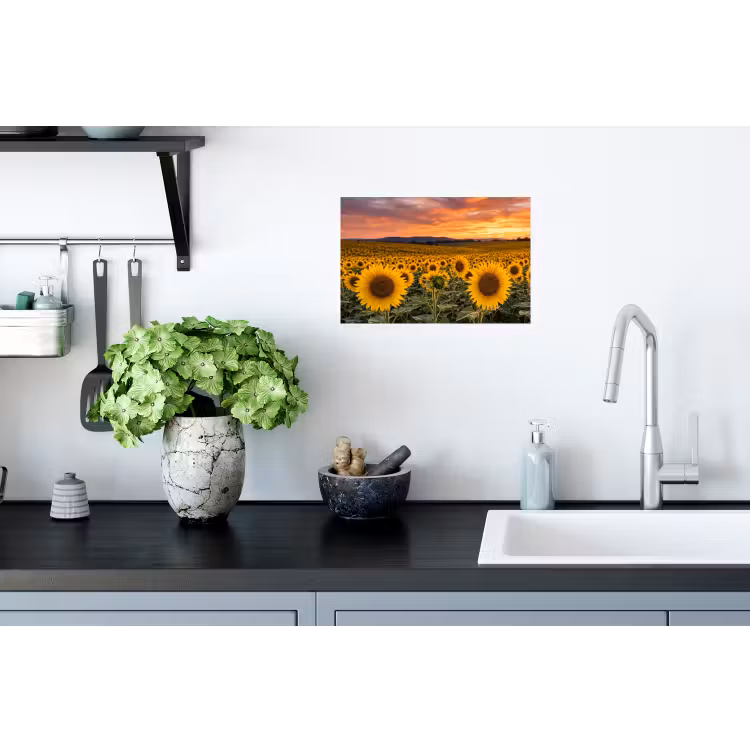 Zonnebloemen - Heuvellandschap - Geel Muursticker klein -keuken