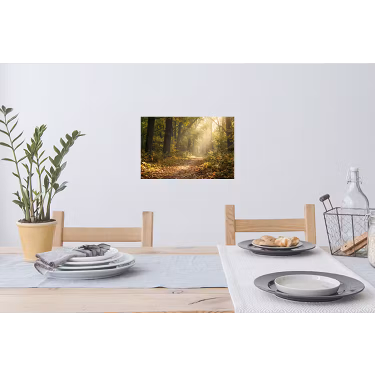 Zonlicht - Bospad - Bomen Muursticker klein -eettafel