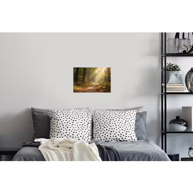Zonlicht - Bospad - Bomen Muursticker klein -slaapkamer