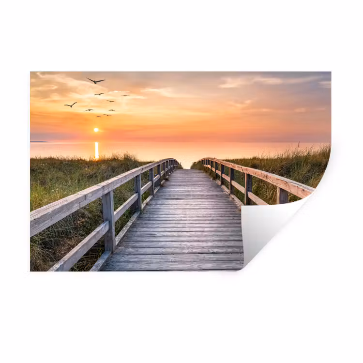 Zonsonderang - Zee - Pad - Gras - Duin - Vogels Muursticker klein -3d
