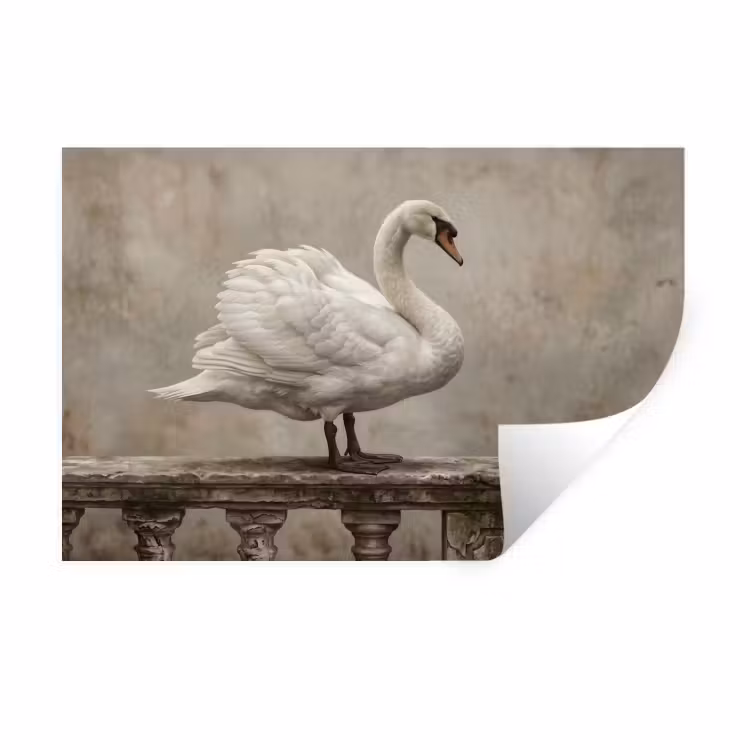 Zwaan - Elegant - Dieren - Wit Muursticker klein -3d