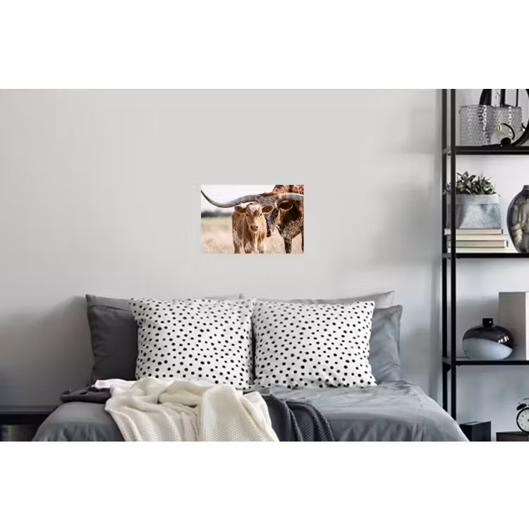 Texas Longhorn - Kalf - Weide - Dieren Muursticker klein -slaapkamer