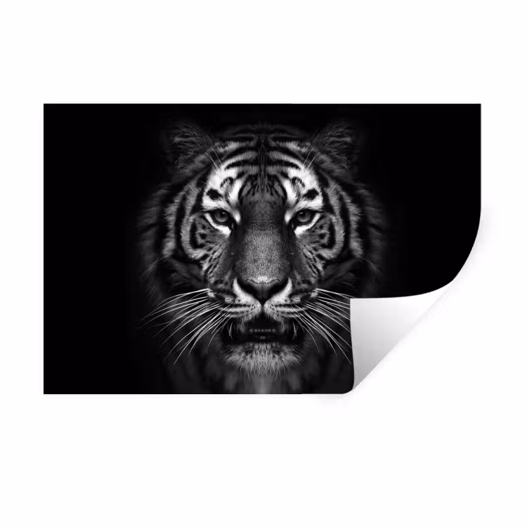 Tijger - Dieren - Zwart - Wit - Portret - Wild Muursticker klein -3d