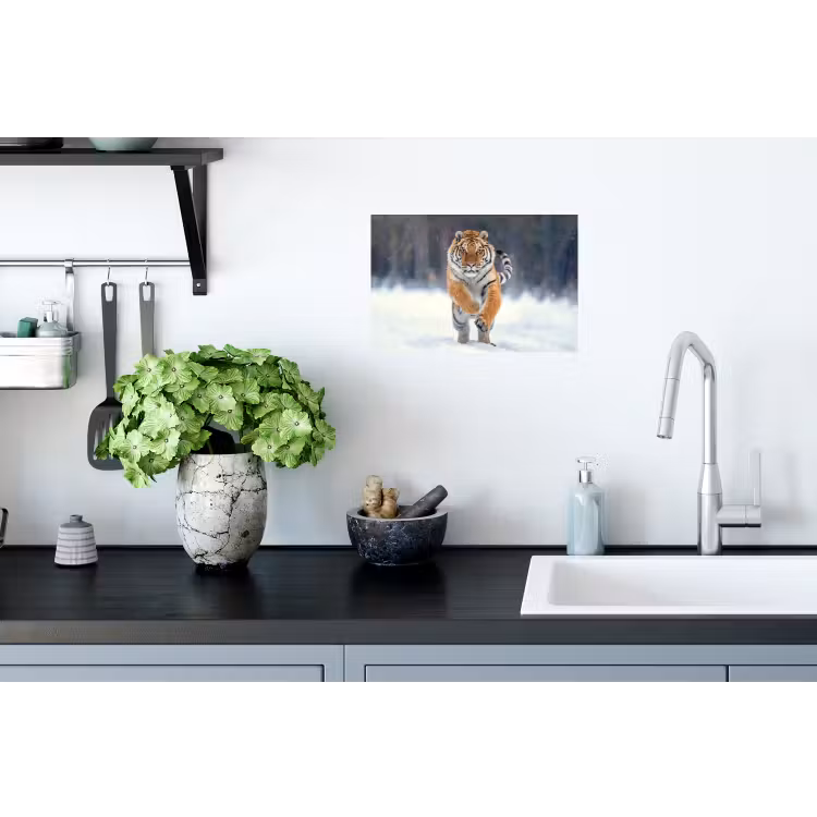 Tijger - Landschap - Sneeuw - Winter - Dieren Muursticker klein -keuken