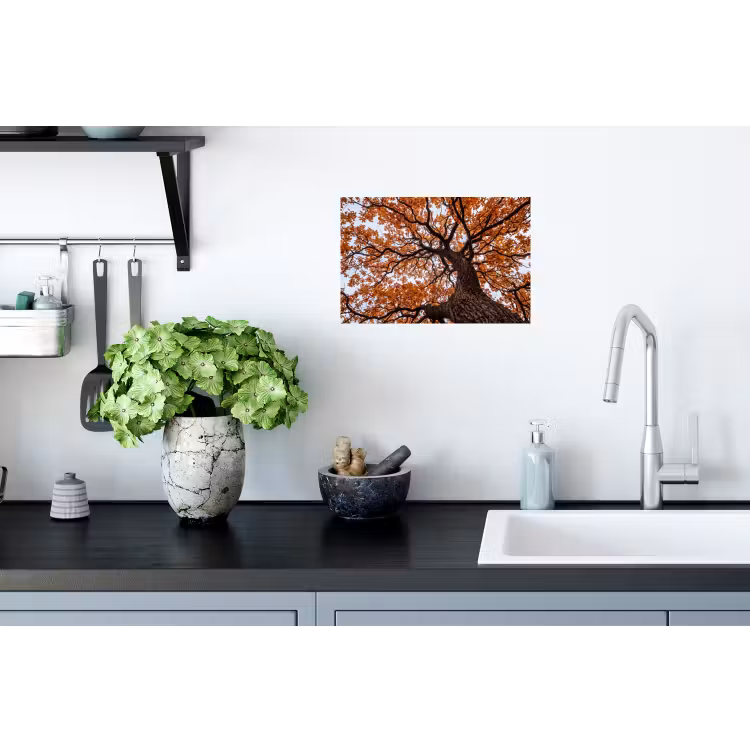 Boom - Bladerdak - Herfst - Oranje - Sfeervol Muursticker klein -keuken