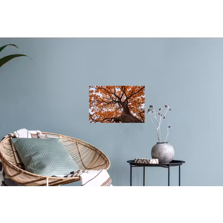 Boom - Bladerdak - Herfst - Oranje - Sfeervol Muursticker klein -plant