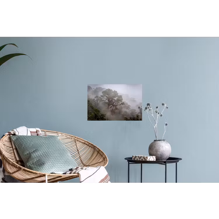 Boom - Mistig - Bos - Groen - Natuur Muursticker klein -plant