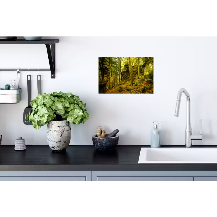 Bomen - Steen - Bos - Natuur Muursticker klein -keuken