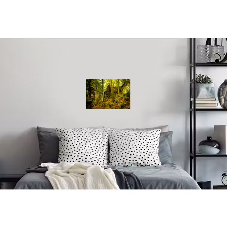 Bomen - Steen - Bos - Natuur Muursticker klein -slaapkamer