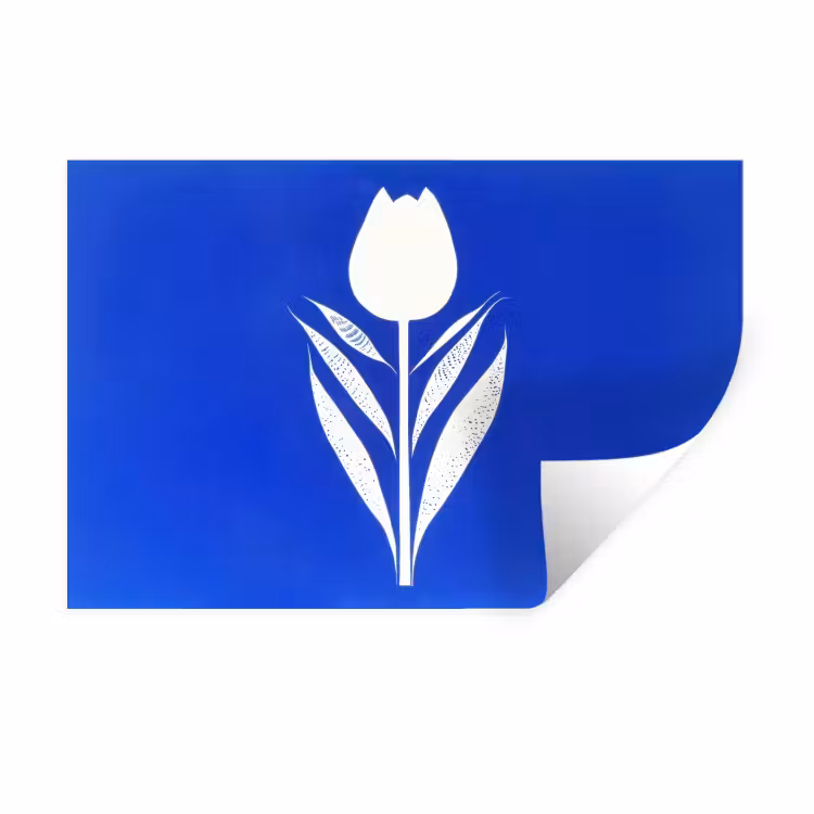 Tulp - Minimalistisch - Bladeren - Wit Muursticker klein -3d