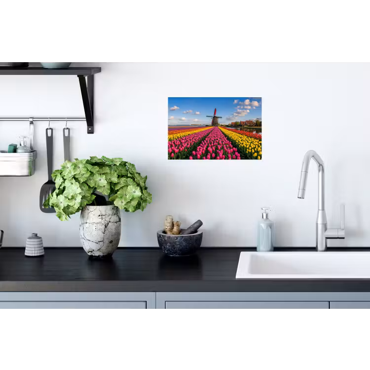 Tulpen - Holland - Molen - Kleurrijk Muursticker klein -keuken