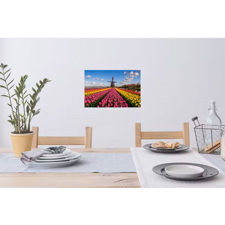 Tulpen - Holland - Molen - Kleurrijk Muursticker klein -eettafel
