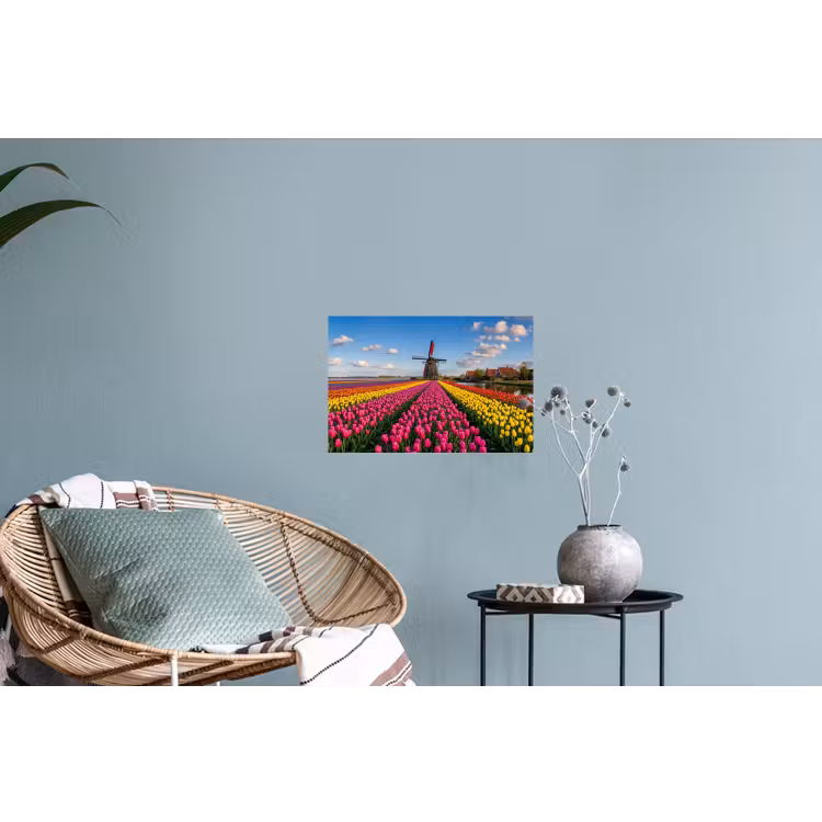 Tulpen - Holland - Molen - Kleurrijk Muursticker klein -plant