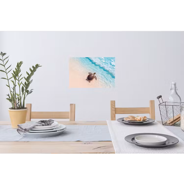 Schildpad - Helder water - Strand - Dieren - Natuur Muursticker klein -eettafel