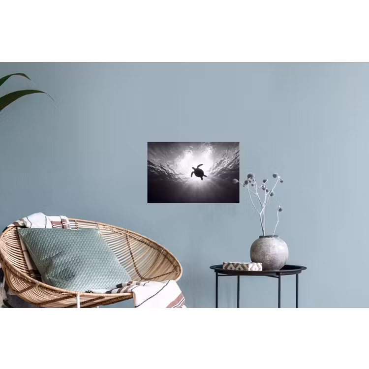 Schildpad - Onderwater - Lichtstralen - Oceaan - Zwart-wit Muursticker klein -plant