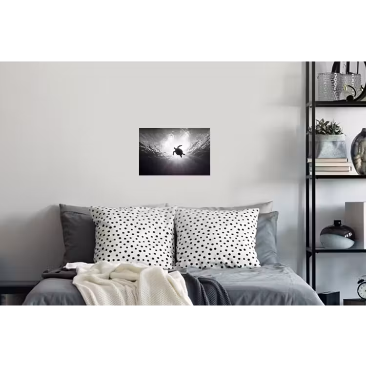 Schildpad - Onderwater - Lichtstralen - Oceaan - Zwart-wit Muursticker klein -slaapkamer