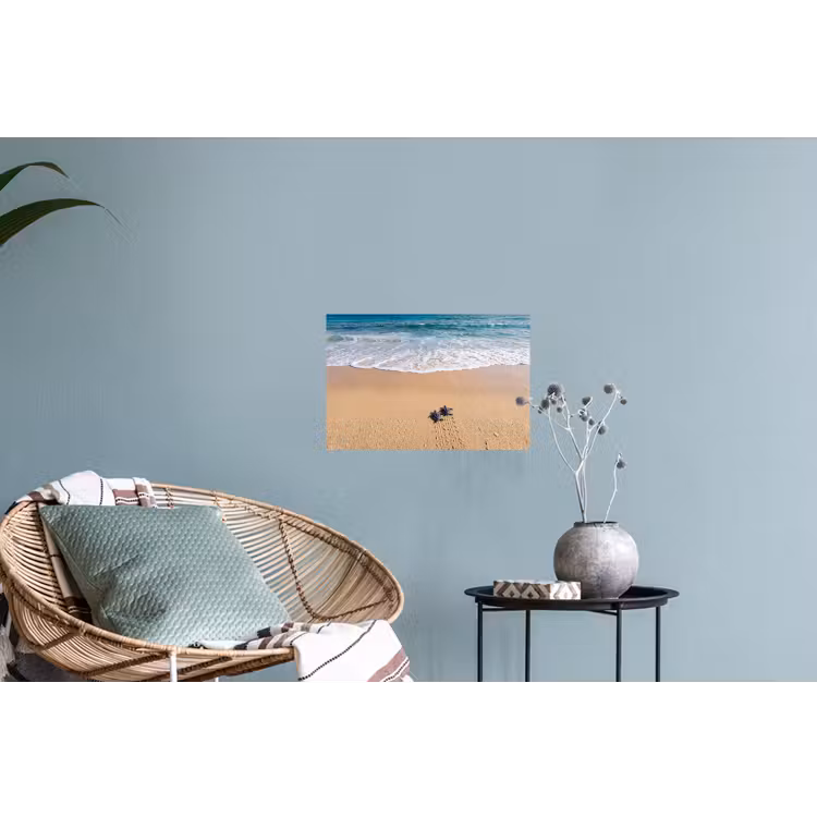 Schildpad - Jong - Strand - Oceaan - Blauw Muursticker klein -plant