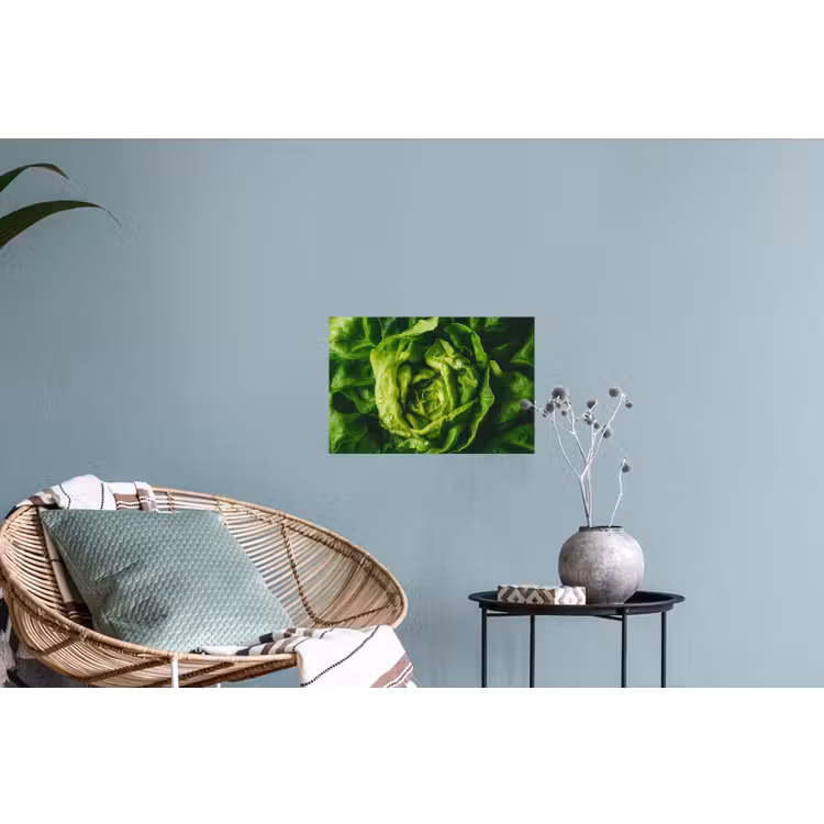 Groente - Sla - Groen Muursticker klein -plant